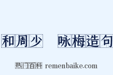 和周少晳咏梅造句是什么意思的图片